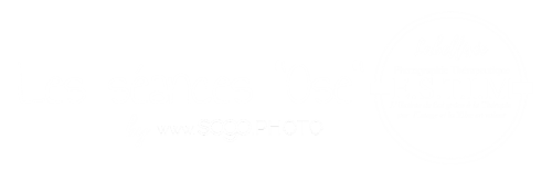 Logo photographie therapeutique Logo symbolisant les seances de photographie therapeutique