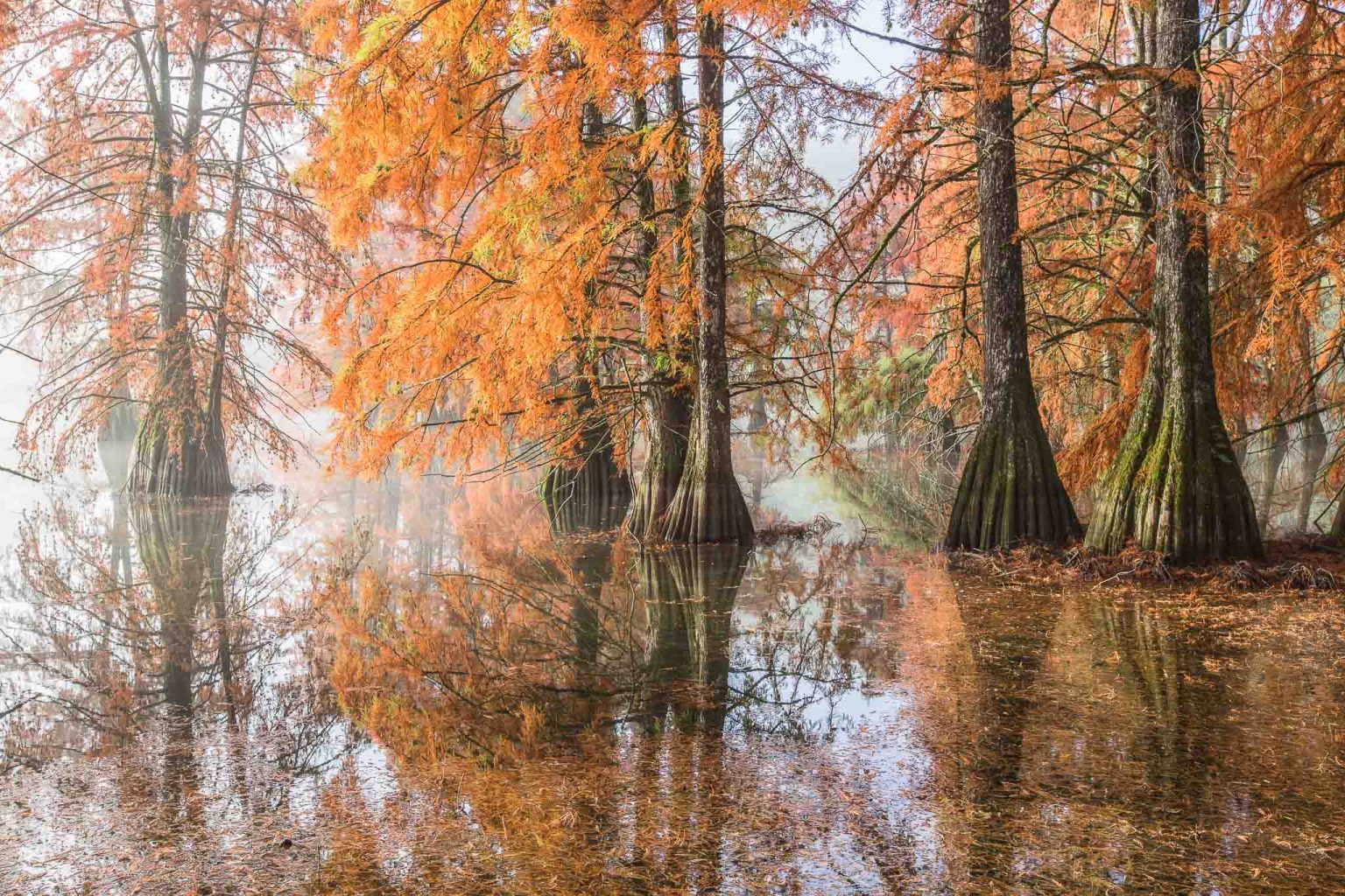 Nature et paysage