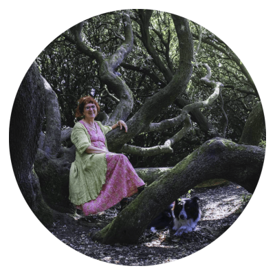 autoportrait de présentation